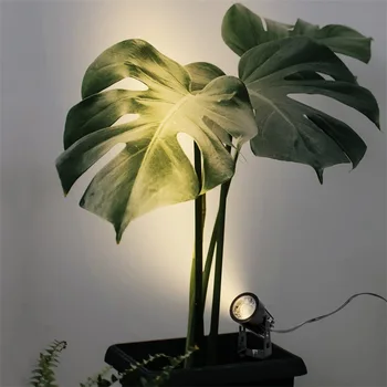 LED Himmennys Ja Värien Ajoitus Sisäuima-USB Plug-In Spotlight Seinään Projektio kukkapenkkiin Mukaan Puun Plug-In-Lamppu